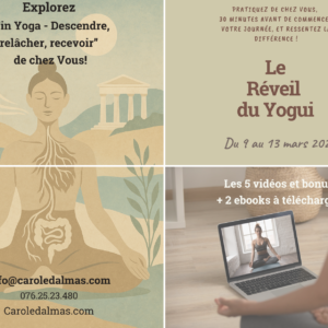 Réveil du Yogui "Yin Yoga - Descendre, relâcher, recevoir"