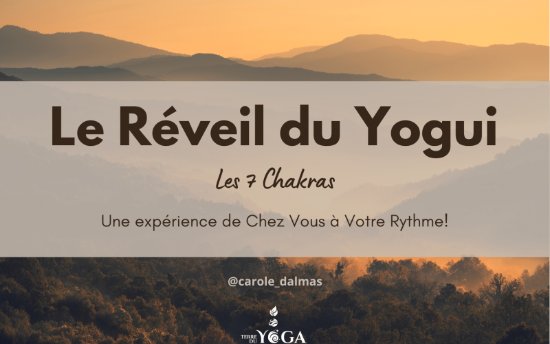 Affiche du Réveil du Yogui, les 7 Chakras