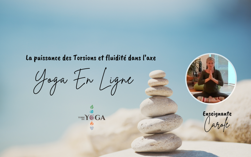 La puissance des torsions et fluidité dans l'axe