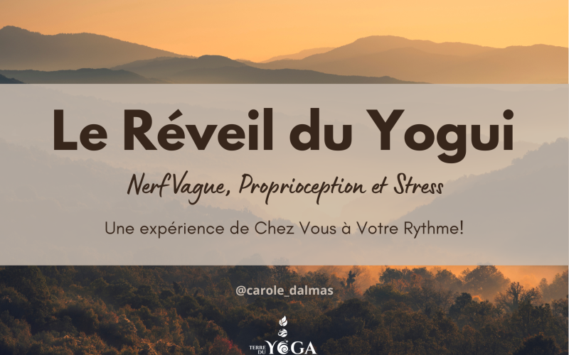Affiche du Réveil du Yogui - Nerf vague, proprioception et stress