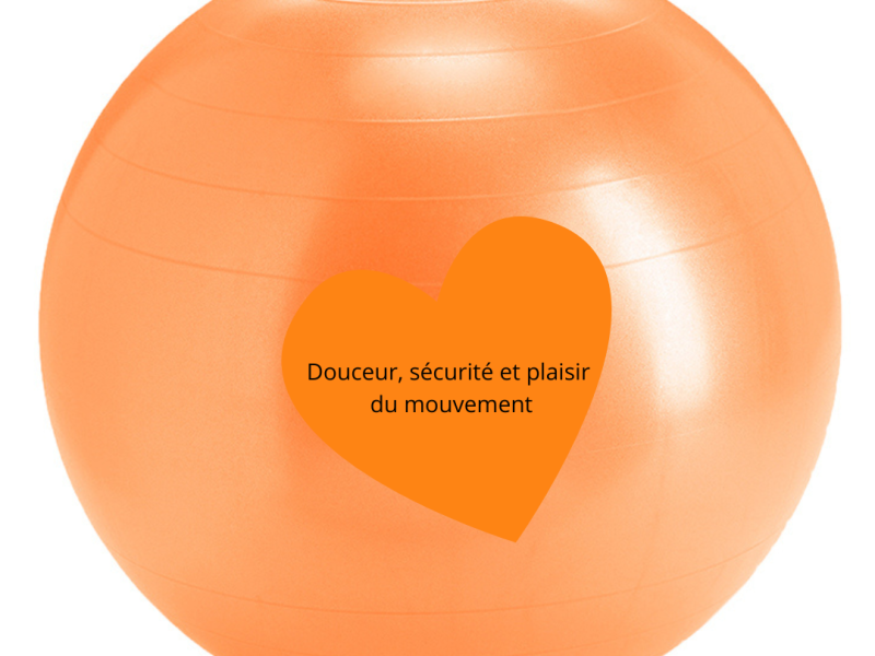Ballon pilate 42cm