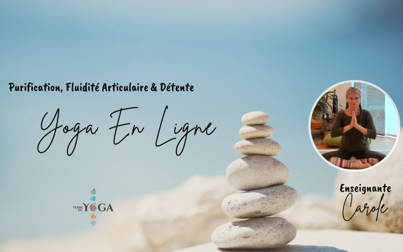 Purification, fluidité articulaire & détente