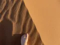 Marche dans le désert du Marco