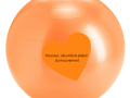 Ballon pilate 42cm